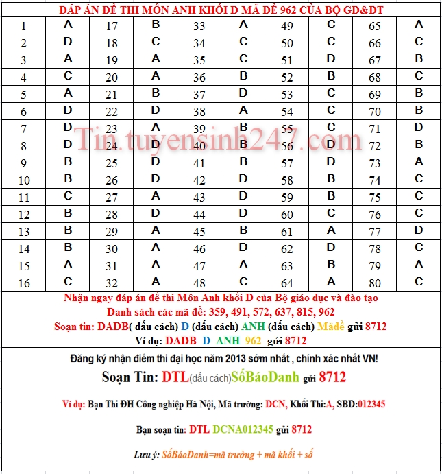 Dap an de thi dai hoc mon anh khoi D nam 2013 ma de 962
